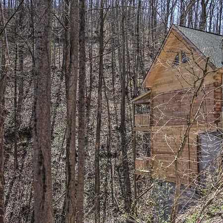 The Phoenix Cabin With Hot Tub In Gatlinburg! Εξωτερικό φωτογραφία